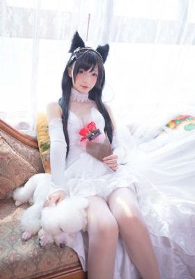 动漫黄色片_1080免费播放